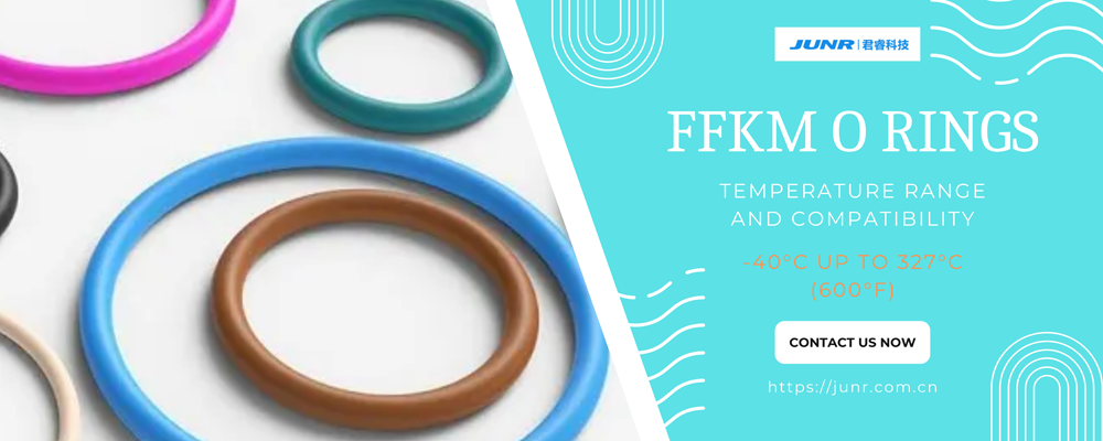 FFKM O Rings